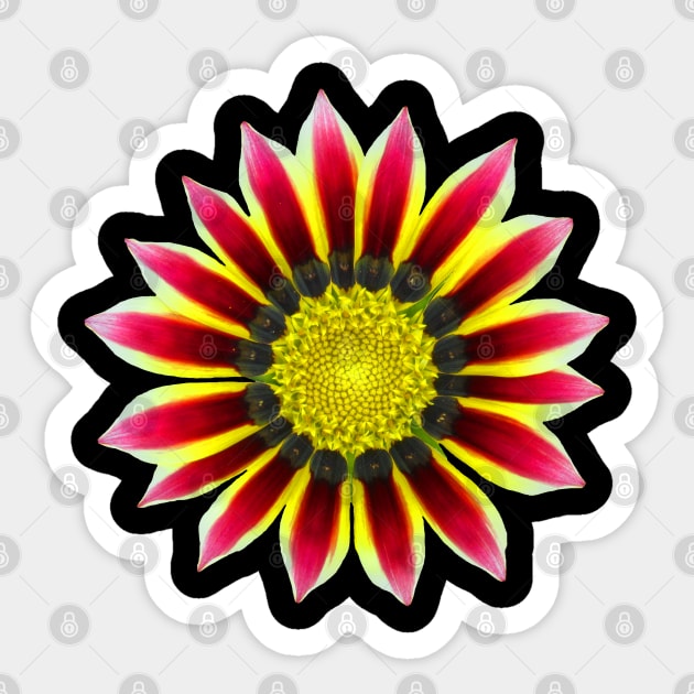 red pink flower, blossom, nature, blooming Sticker by rh_naturestyles
